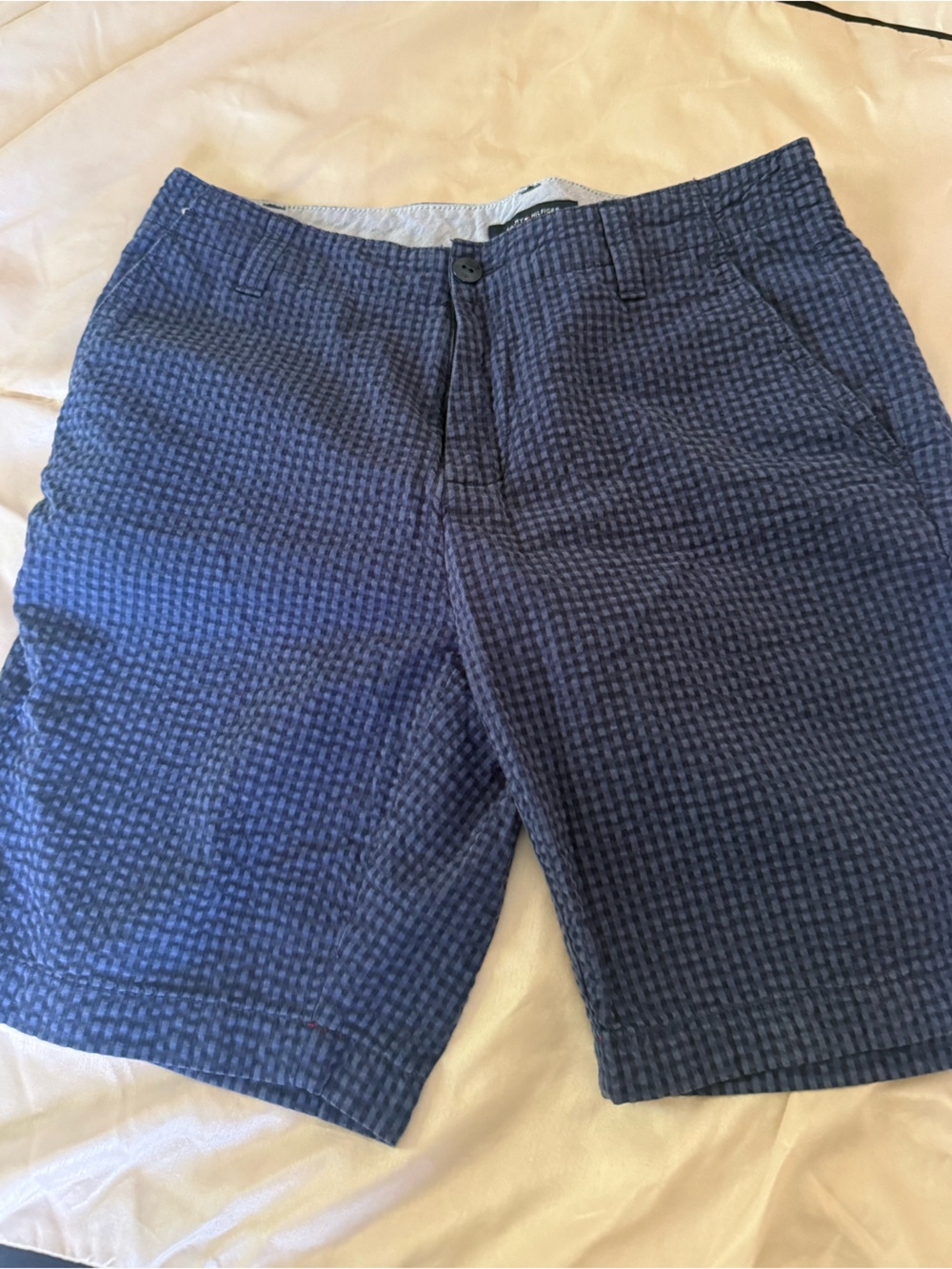 Tommy Hilfiger Navy Blue Textured Chinos